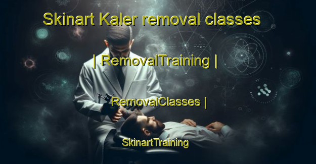 Skinart Kaler removal classes | RemovalTraining | RemovalClasses | SkinartTraining-United States